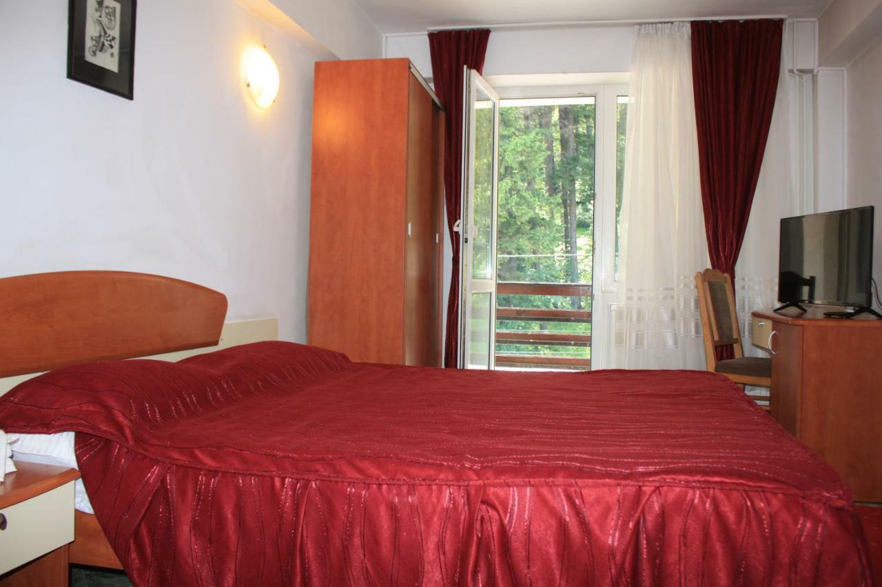 vila mihail Hotel Busteni Luaran gambar